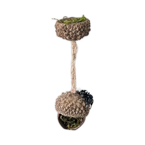 Springspinnenversteck, Springspinnenzaun-Zubehör aus echten Eicheln, magnetisches Versteck, Springspinnen-Lebensraum, rein handgefertigte Springspinnen-Plattform, dekoratives Accessoire (Kombination) Springspinnenversteck, Springspinnenzaun-Zubehör aus echten Eicheln, magnetisches Versteck, Springspinnen-Lebensraum, rein handgefertigte Springspinnen-Plattform, dekoratives Accessoire (Kombination) von Daerky