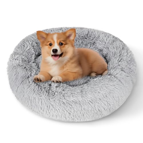 Dafencar Katzenschlafplatz, Katzenkissen Rund, 50cm Katzen Kissen, Waschbar Flauschig Orthopädische Hundebetten, Hundekorb Plüsch Dafencar Katzenschlafplatz, Katzenkissen Rund, 50cm Katzen Kissen, Waschbar Flauschig Orthopädische Hundebetten, Hundekorb Plüsch von Dafencar