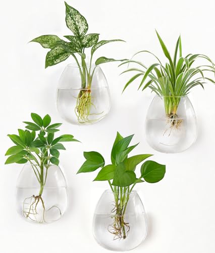 Dahey Anzuchtstationen, Wandbehang, Pflanzgefäße, Glas, wandmontierte Vasen, ovales Terrarium für Blumen, Hydrokultur, Zimmerpflanzen, Zuhause, Badezimmer, Büro, Dekoration, 4 Stück Dahey Anzuchtstationen, Wandbehang, Pflanzgefäße, Glas, wandmontierte Vasen, ovales Terrarium für Blumen, Hydrokultur, Zimmerpflanzen, Zuhause, Badezimmer, Büro, Dekoration, 4 Stück von Dahey