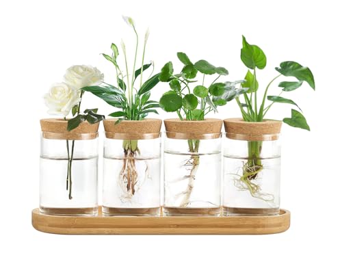 Dahey Pflanzgefäß für Pflanzen, Terrarium, Schreibtisch, Glas-Pflanzgefäß, Wasserpflanze, Glasvase mit Deckel und Holzständer für Anzucht von Hydrokulturpflanzen, Tafelaufsatz, Büro, Zuhause, Garten, Dahey Pflanzgefäß für Pflanzen, Terrarium, Schreibtisch, Glas-Pflanzgefäß, Wasserpflanze, Glasvase mit Deckel und Holzständer für Anzucht von Hydrokulturpflanzen, Tafelaufsatz, Büro, Zuhause, Garten, von Dahey