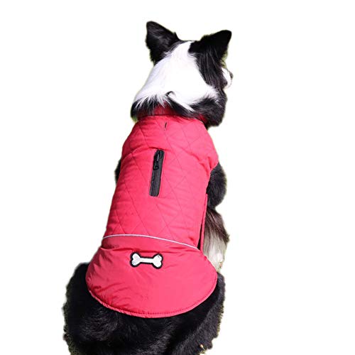 DAIHAN Hundejacke Winterweste Jacken Hundemantel Haustier Skifahren Kostüm Ärmellose Baumwolle Gepolsterte Weste wasserdichte Kleidung,Rot,XL von DAIHAN