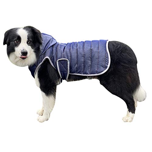 DaiHan Hundejacke für Hunde, Wasserdicht Hundemantel Gefüttert Warmem Hund Jacke Mantel Ärmellose Weste Schneeanzug mit Kapuze Winterjacke Warm Weste Hundekleidung,Blau,L von DaiHan