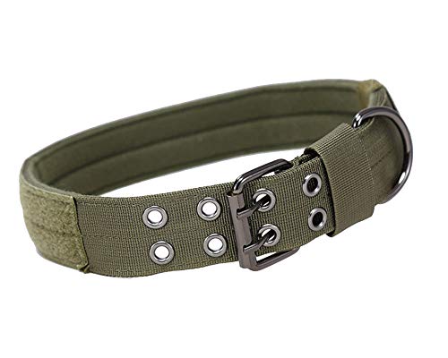 DAIHAN Militärisches Training Hochleistungs-Verstellbare Hundehalsband Weiches Hundehalsband mit D-Ring-Metallschnalle für mittelgroße Hunde ArmyGRGN M von DAIHAN