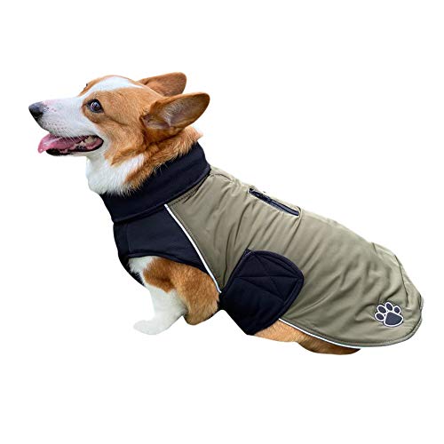 DAIHAN Warme Hundekleidung Winter Hundemantel Jacke mit Gurtloch Outdoor Sport wasserdichte Hundekleidung Outfit Weste für Kleine Mittelgroße Hunde,Grün,L von DAIHAN