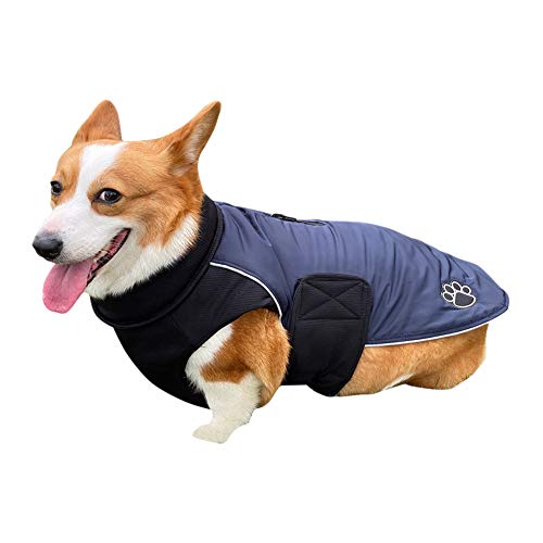DAIHAN Warme Hundekleidung Winter Hundemantel Jacke mit Gurtloch Outdoor Sport wasserdichte Hundekleidung Outfit Weste für Kleine Mittelgroße Hunde,Marine,L von DAIHAN