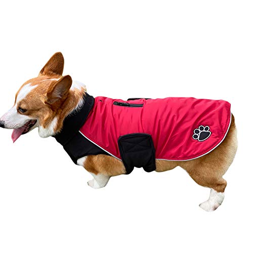 DAIHAN Warme Hundekleidung Winter Hundemantel Jacke mit Gurtloch Outdoor Sport wasserdichte Hundekleidung Outfit Weste für Kleine Mittelgroße Hunde,Rot,M von DAIHAN
