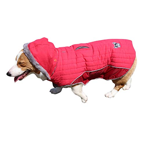 DAIHAN Winter Hundejacke Winter Weste Windbreaker Pet Warmer Mantel Hunde Hoodie Gesteppte Hundemäntel mit Kapuze,Rot,3XL von DAIHAN