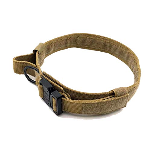 Hundehalsband Military Training Nylon verstellbar mit Metall D Ring & Schnalle Nackengürtel für Große Mittelgroß Kleine Hunde Ning L von DAIHAN