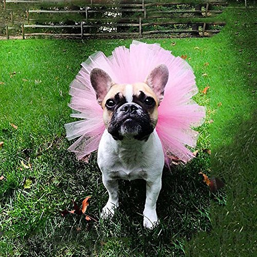 dairyshop Cute Pet Puppy Kleine Hunde Prinzessin Spitze Tutu Kleidung Kleidung, New von Dairyshop