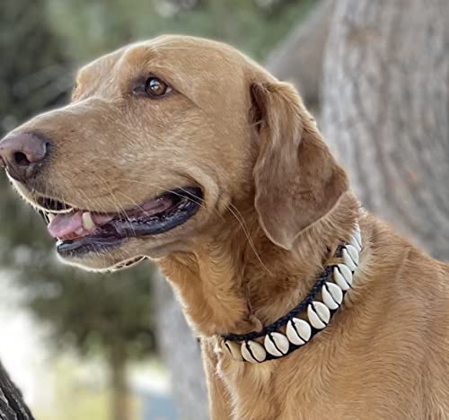 Handgefertigtes Muschel-Hundehalsband, cooles Hundehalsband, niedliches Haustier-Halsband, tolle Haustier-Halskette, lustiges Design, modisch, nautisches Hundehalsband von Daisy's Dog Collars