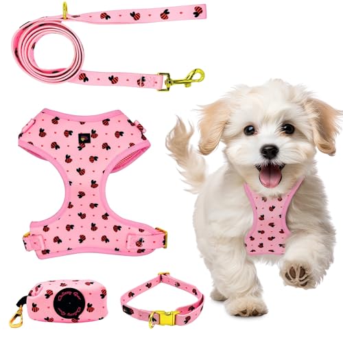 Daizzy Gear Hundegeschirr, kein Ziehen, einsteigen, weich und verstellbar, passendes Halsband, Geschirr und Leine, Set mit hochwertigem Zubehör und Kotbeutelhalter. von Daizzy Gear
