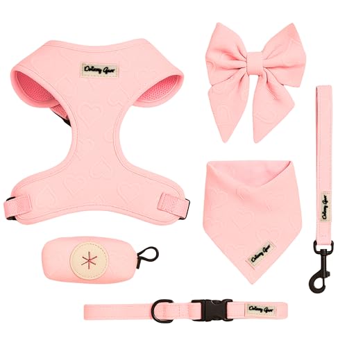 Daizzy Gear Hundegeschirr-Set, Größe M, kein Ziehen, mit passender Leine, Halsband, Bandana, Schleife und Kotbeutelhalter, bestickte Herzen, Jacquard, verstellbar, ästhetisch und stilvoll Daizzy Gear Hundegeschirr-Set, Größe M, kein Ziehen, mit passender Leine, Halsband, Bandana, Schleife und Kotbeutelhalter, bestickte Herzen, Jacquard, verstellbar, ästhetisch und stilvoll von Daizzy Gear