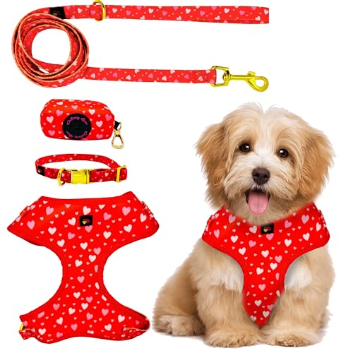 Daizzy Gear Hundegeschirr-Set: kein Ziehen, einsteigen, weich und verstellbar, passendes Halsband, Geschirr und Leine, Set mit hochwertigem Zubehör und Kotbeutelhalter, Größe L, 10,9–20 kg, Rot Daizzy Gear Hundegeschirr-Set: kein Ziehen, einsteigen, weich und verstellbar, passendes Halsband, Geschirr und Leine, Set mit hochwertigem Zubehör und Kotbeutelhalter, Größe L, 10,9–20 kg, Rot von Daizzy Gear