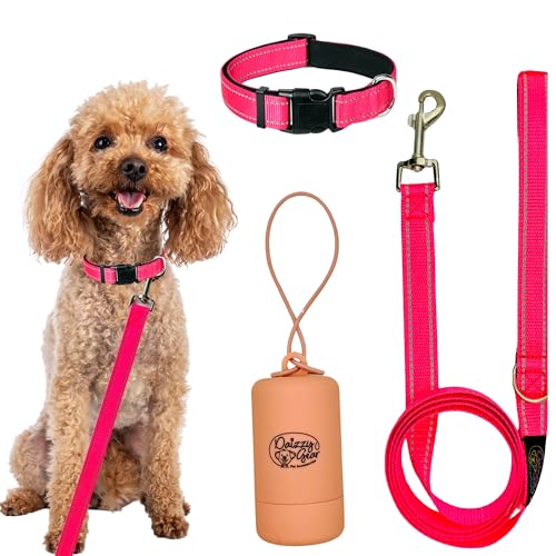 Daizzy Gear Reflektierende Hundeleine, Halsband und Beutelspender-Set – langlebige 1,5 m lange Leine für kleine, mittelgroße und große Hunde – weich mit gepolstertem Komfort zum Spazierengehen von Daizzy Gear