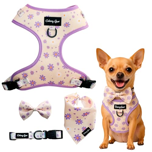 Geschirr-Set mit Kragen, Fliege und Bandana Geschirr-Set mit Kragen, Fliege und Bandana von Daizzy Gear