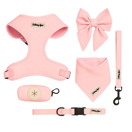 Petite Amoure Hundegeschirr-Set, passendes Geschirr, Halsband, Matrosenschleife, Bandana, Leine und Kotbeutelhalter, komplettes Haustierzubehör-Set, Größe L, 10,9 - 20 kg, Rosa Petite Amoure Hundegeschirr-Set, passendes Geschirr, Halsband, Matrosenschleife, Bandana, Leine und Kotbeutelhalter, komplettes Haustierzubehör-Set, Größe L, 10,9 - 20 kg, Rosa von Daizzy Gear