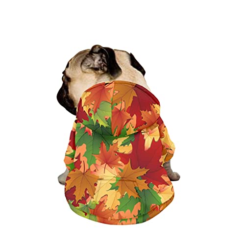 Dajingkj Hunde-Kapuzenpullover mit Ahornblättern, für mittelgroße Hunde, modisch, niedliche Haustierkleidung, Sweatshirts mit Taschen, warmer Mantel für Welpen, Herbst, Winter, festliche Verkleidung, Jungen, Mädchen, Hunde-Kostüme von Dajingkj