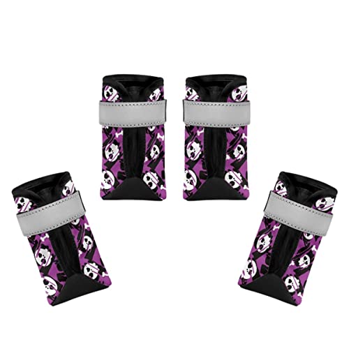 Dajingkj Violette Hundeschuhe, atmungsaktiv, Halloween-Totenkopf, Hundeschuhe mit reflektierendem Streifen, rutschfest, wasserdichte Sohle, Hundeschuhe für kleine, mittelgroße und große Hunde, Welpen, Pfotenschutz zum Wandern, 4 Stück Dajingkj Violette Hundeschuhe, atmungsaktiv, Halloween-Totenkopf, Hundeschuhe mit reflektierendem Streifen, rutschfest, wasserdichte Sohle, Hundeschuhe für kleine, mittelgroße und große Hunde, Welpen, Pfotenschutz zum Wandern, 4 Stück von Dajingkj