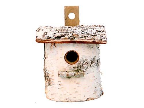 DAMIAN WIKLINA NATURALNE PRODUKTY Z DREWNA I WIKLINY Vogelhaus, Nistkasten, Birkennesthöhle 16 x 12 cm (32mm) von Damian-Wiklina