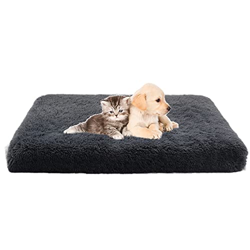 DanChen Waschbar Hundekissen Weiches Orthopädisches Hundebett Flauschig Flanell Hundematte Abnehmbarem Mittelgroße Katzen Hunde Haustierbett mit Memory Foam DanChen Waschbar Hundekissen Weiches Orthopädisches Hundebett Flauschig Flanell Hundematte Abnehmbarem Mittelgroße Katzen Hunde Haustierbett mit Memory Foam von Danchen