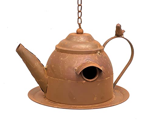 DanDiBo Vogelhaus zum Aufhängen Edelrost Deko Rost Gießkanne Wetterfest 96423 Nistkasten Futterstation für Vögel Shabby mit Kette hängend Metallkanne Kanne Balkon von DanDiBo