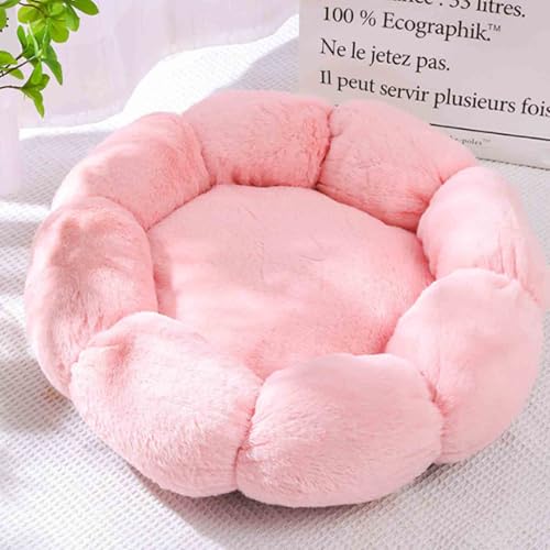 Cozy Flower Haustiersofa, flauschiges Plüsch-Katzen-Hundebett, praktische, waschbare Hundesofa, weiche strukturierte PP-Baumwoll-Füllung, Haustierkissen (60 cm, Rosa) von Danchen
