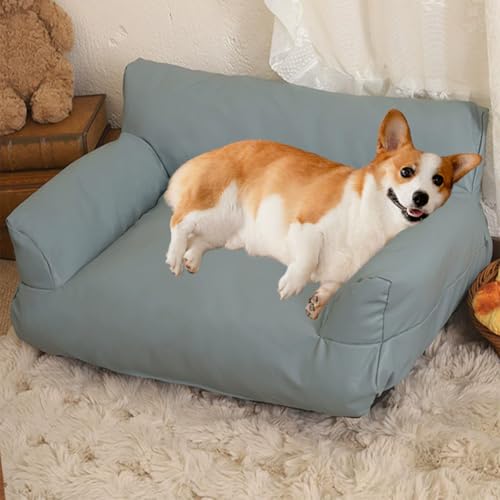 Danchen Haustier-Sofabett für kleine bis mittelgroße Hunde und Katzen, orthopädisches Komfort-Hundesofa, Couch-Nackenrolle mit rutschfester Unterseite, wasserdicht, weich, Welpenbett, Matratzenkissen von Danchen
