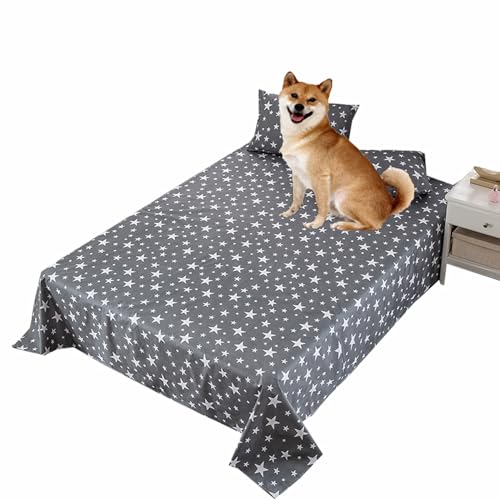 Danchen Hunde- und Katzen-Decke für Sofa, Bett, wasserdichte Bettdecke, Sofa, Couch, Möbelschutz, Haustierschutz, Urinierschutz, staubdicht, Überwurfdecke, Autositz, Hundedecke (160 x 230 cm, grauer Danchen Hunde- und Katzen-Decke für Sofa, Bett, wasserdichte Bettdecke, Sofa, Couch, Möbelschutz, Haustierschutz, Urinierschutz, staubdicht, Überwurfdecke, Autositz, Hundedecke (160 x 230 cm, grauer von Danchen