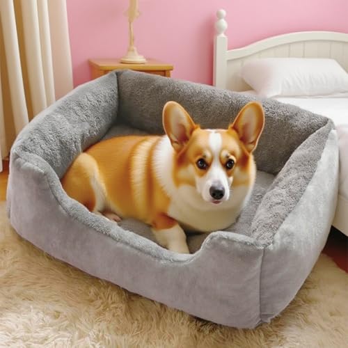 Danchen Hundebett, Größe M, atmungsaktiv, Anti-Angstzustände, mit rutschfester Unterseite, weicher Plüsch, für Welpen, Katzen, Schlafzimmer, Couchkissen, erhöhte Seiten für große Haustiere (Grau, 70 x von Danchen