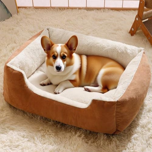 Danchen Hundesofa, orthopädisches Katzensofa mit Rückenlehne und Armlehne, atmungsaktive Haustier-Couch-Liegematte, Matratze für den Innenbereich, Wohnzimmer, kleine, mittelgroße und große Hunde Danchen Hundesofa, orthopädisches Katzensofa mit Rückenlehne und Armlehne, atmungsaktive Haustier-Couch-Liegematte, Matratze für den Innenbereich, Wohnzimmer, kleine, mittelgroße und große Hunde von Danchen
