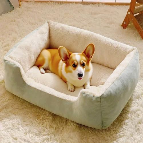Danchen Hundesofa, orthopädisches Katzensofa mit Rückenlehne und Armlehne, atmungsaktive Haustier-Couch-Liegematte, Matratze für den Innenbereich, Wohnzimmer, kleine, mittelgroße und große Hunde (Grün von Danchen