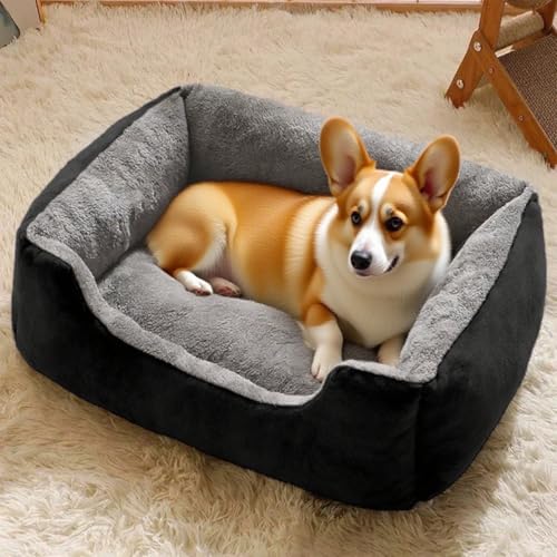 Danchen Hundesofa, orthopädisches Katzensofa mit Rückenlehne und Armlehne, atmungsaktive Haustier-Couch-Liegematte, Matratze für den Innenbereich, Wohnzimmer, kleine, mittelgroße und große Hunde von Danchen