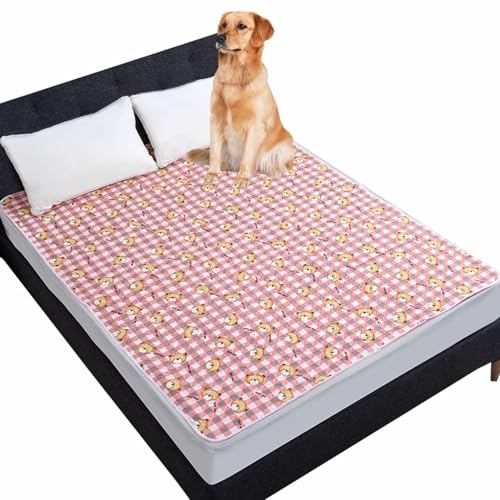 Danchen Wasserdichte Hundedecke, waschbar, für Hunde- und Katzenbett, Sofa-Decke, Bettmatratze, Möbelschutz, weiches, staubdichtes Bettlaken für mittelgroße und große Hunde und Katzen (150 x 200 cm, Danchen Wasserdichte Hundedecke, waschbar, für Hunde- und Katzenbett, Sofa-Decke, Bettmatratze, Möbelschutz, weiches, staubdichtes Bettlaken für mittelgroße und große Hunde und Katzen (150 x 200 cm, von Danchen