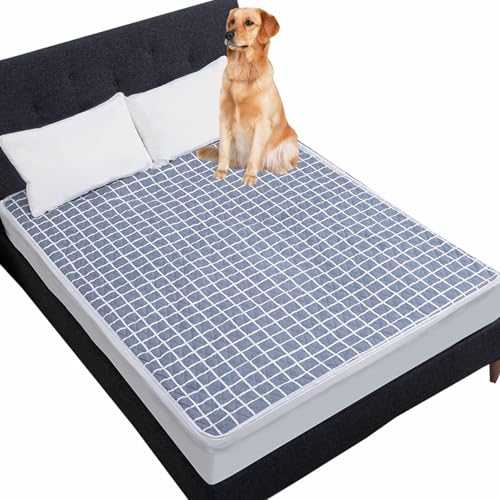Danchen Wasserdichte Hundedecke, waschbar, für Hunde- und Katzenbett, Sofa-Decke, Bettmatratze, Möbelschutz, weiches, staubdichtes Bettlaken für mittelgroße und große Hunde und Katzen (180 x 200 cm, Danchen Wasserdichte Hundedecke, waschbar, für Hunde- und Katzenbett, Sofa-Decke, Bettmatratze, Möbelschutz, weiches, staubdichtes Bettlaken für mittelgroße und große Hunde und Katzen (180 x 200 cm, von Danchen