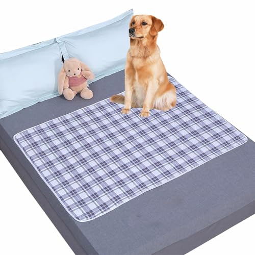 Danchen Wasserdichte Hundedecke, waschbar, für Hunde- und Katzenbett, Sofa-Decke, Bettmatratze, Möbelschutz, weiches, staubdichtes Bettlaken für mittelgroße und große Hunde und Katzen (180 x 200 cm, Danchen Wasserdichte Hundedecke, waschbar, für Hunde- und Katzenbett, Sofa-Decke, Bettmatratze, Möbelschutz, weiches, staubdichtes Bettlaken für mittelgroße und große Hunde und Katzen (180 x 200 cm, von Danchen