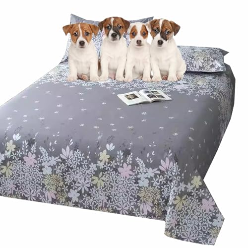 Danchen Weicher Bettbezug für Hunde und Katzen, wasserdichte Haustierdecke, Matratzenschoner, waschbarer Möbelschutz, für Hunde und Katzen, Bettlaken (230 x 250 cm, B) von Danchen