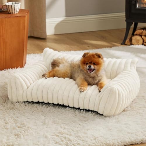 Hundebett, Sofa, flauschig, beruhigend, Plüsch, Katzen- und Hundebett, Couch mit rutschfester Unterseite, geräumig, gemütlich, für den Innenbereich, mittelgroße Welpenmatratze, Sofa, Nackenrolle Hundebett, Sofa, flauschig, beruhigend, Plüsch, Katzen- und Hundebett, Couch mit rutschfester Unterseite, geräumig, gemütlich, für den Innenbereich, mittelgroße Welpenmatratze, Sofa, Nackenrolle von Danchen