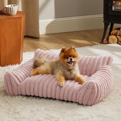 Hundebett, Sofa, flauschig, beruhigend, Plüsch, Katzen- und Hundebett, Couch mit rutschfester Unterseite, geräumig, gemütlich, für den Innenbereich, mittelgroße Welpenmatratze, Sofa, Nackenrolle von Danchen
