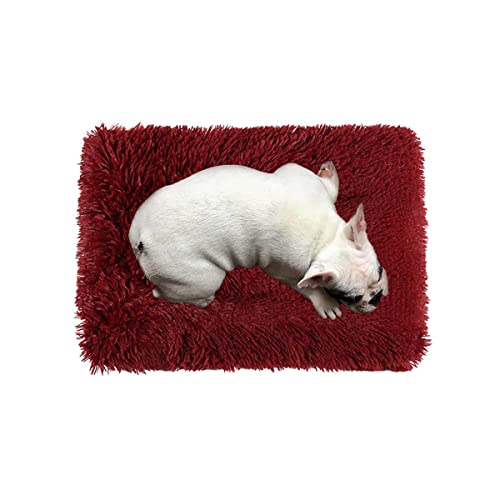 Hundebett Plüsch Matratze Weiche Zwinger Kissen Matte für Mittlere Kleine Hunde und Katzen, Haustier Warme Schlafdecke Katzenhaus Pad Welpenkissen, Waschbar und rutschfest Hundebett Plüsch Matratze Weiche Zwinger Kissen Matte für Mittlere Kleine Hunde und Katzen, Haustier Warme Schlafdecke Katzenhaus Pad Welpenkissen, Waschbar und rutschfest von Danchen