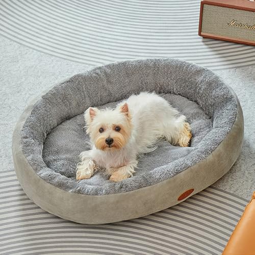 Mittelgroßes Hundesofa, Hundebett waschbar mit rutschfestem Boden und erhöhten Seiten, weiche, bequeme Haustier-Couch-Bett, Nackenrolle, Stuhlkissen für große Welpen, Katzen (Grau, 90 x 66 x 10 cm) von Danchen