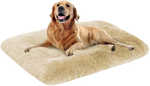 Ultraweiches großes Hundebett, 50 x 35 x 6 cm, hochwertiges warmes Plüsch-Hundekissen, abnehmbar, waschbar, rutschfest, beruhigendes Hundebett von Danchen