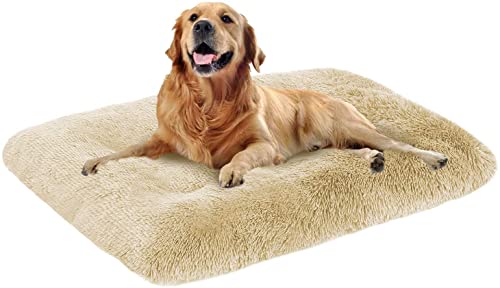 Danchen Ultraweiches großes Haustierbett, 70 x 50 x 8 cm, warmes Plüschkissen, abnehmbare, waschbare Anti-Rutsch-Matratze, beruhigendes Hundebett, Beige von Danchen