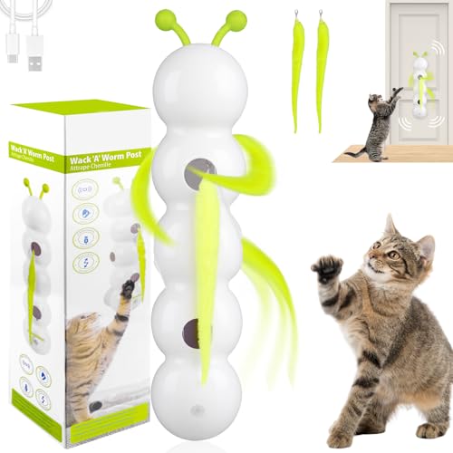 Dandin Wusel Wurm Katzen Spielzeug, Interaktives Katzenspielzeug Selbstbeschäftigung, Smart Motion Haustierspielzeug mit Wurmdesign, Wand & Fenster Montiert Katzenspielzeug für kleine mittelgroße von Dandin