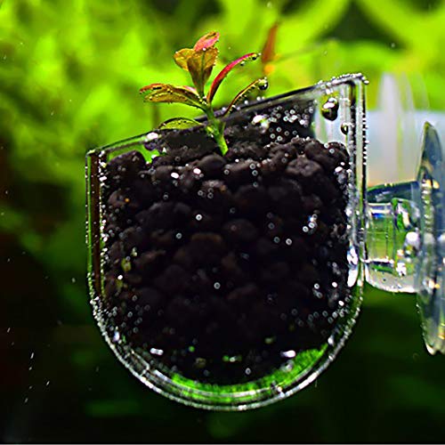 Danigrefinb Kreativer Behälter für Aquarien, Glas, Pflanzenbehälter, roter Wurm, für Haustiere, transparent von Danigrefinb