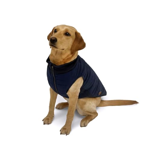 Danish Design FatFace Harley Puffer Hundemantel, 55 cm, warme, Wasserabweisende Hundejacke mit Kunstfellfutter und Reißverschluss von Danish Design