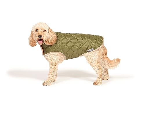 Danish Design Forest Green Diamond Quilt Hundemantel Duschfest Thermo Gefüttert 70 cm Danish Design Forest Green Diamond Quilt Hundemantel Duschfest Thermo Gefüttert 70 cm von Danish Design