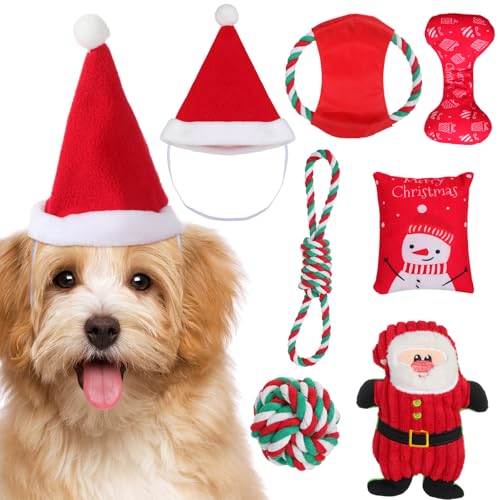 Dansydaisy 7-teiliges Weihnachts-Hundespielzeug für kleine Hunde, inklusive 1 Weihnachtsmütze, 3 quietschende Plüsch-Spielzeuge und 3 Hundespielzeuge für Hunde, Weihnachten, drinnen und draußen Dansydaisy 7-teiliges Weihnachts-Hundespielzeug für kleine Hunde, inklusive 1 Weihnachtsmütze, 3 quietschende Plüsch-Spielzeuge und 3 Hundespielzeuge für Hunde, Weihnachten, drinnen und draußen von Dansydaisy