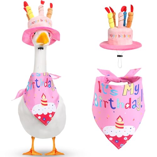 Dansydaisy Happy Birthday Goose Outfit Veranda Gans Outfits mit Happy Birthday Kuchen Hut und Geburtstag Bandana Yard Goose Outfits für 58,4 cm 43,2 cm Zement Kunststoff Gänseente Dekorationen (Rosa von Dansydaisy