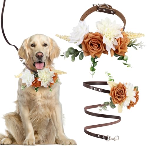 Dansydaisy Hundehalsband mit Blumenmotiv, Leder, Hundehalsband mit Leine, verstellbar, Blumenhalsband, Haustier-Dekoration, Haustier-Foto-Requisite, Hund, Hochzeitskleidung, Dekoration Dansydaisy Hundehalsband mit Blumenmotiv, Leder, Hundehalsband mit Leine, verstellbar, Blumenhalsband, Haustier-Dekoration, Haustier-Foto-Requisite, Hund, Hochzeitskleidung, Dekoration von Dansydaisy