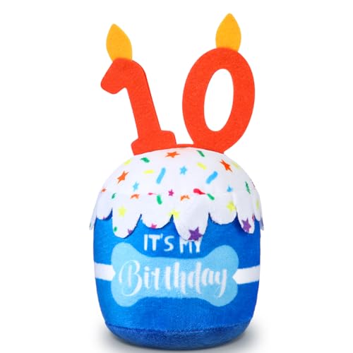 Dansydaisy Hundespielzeug zum 10. Geburtstag, Zubehör für Mädchen und Jungen, quietschendes Plüschspielzeug für Hunde, Geburtstagsparty, Dekoration, Gastgeschenk für große, mittelgroße und kleine Dansydaisy Hundespielzeug zum 10. Geburtstag, Zubehör für Mädchen und Jungen, quietschendes Plüschspielzeug für Hunde, Geburtstagsparty, Dekoration, Gastgeschenk für große, mittelgroße und kleine von Dansydaisy